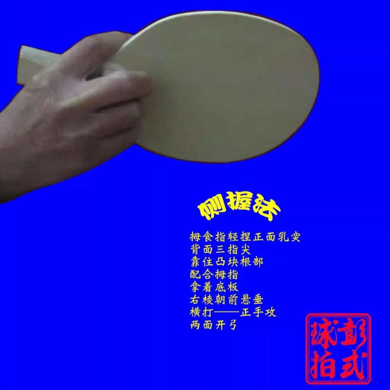 Raket Tenis Meja Gaya Cina/Jep - Table Tennis Xiom ulasan dan harga