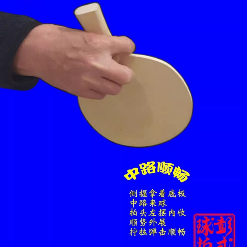 Raket Tenis Meja Gaya Cina/Jep - Table Tennis Xiom ulasan dan harga